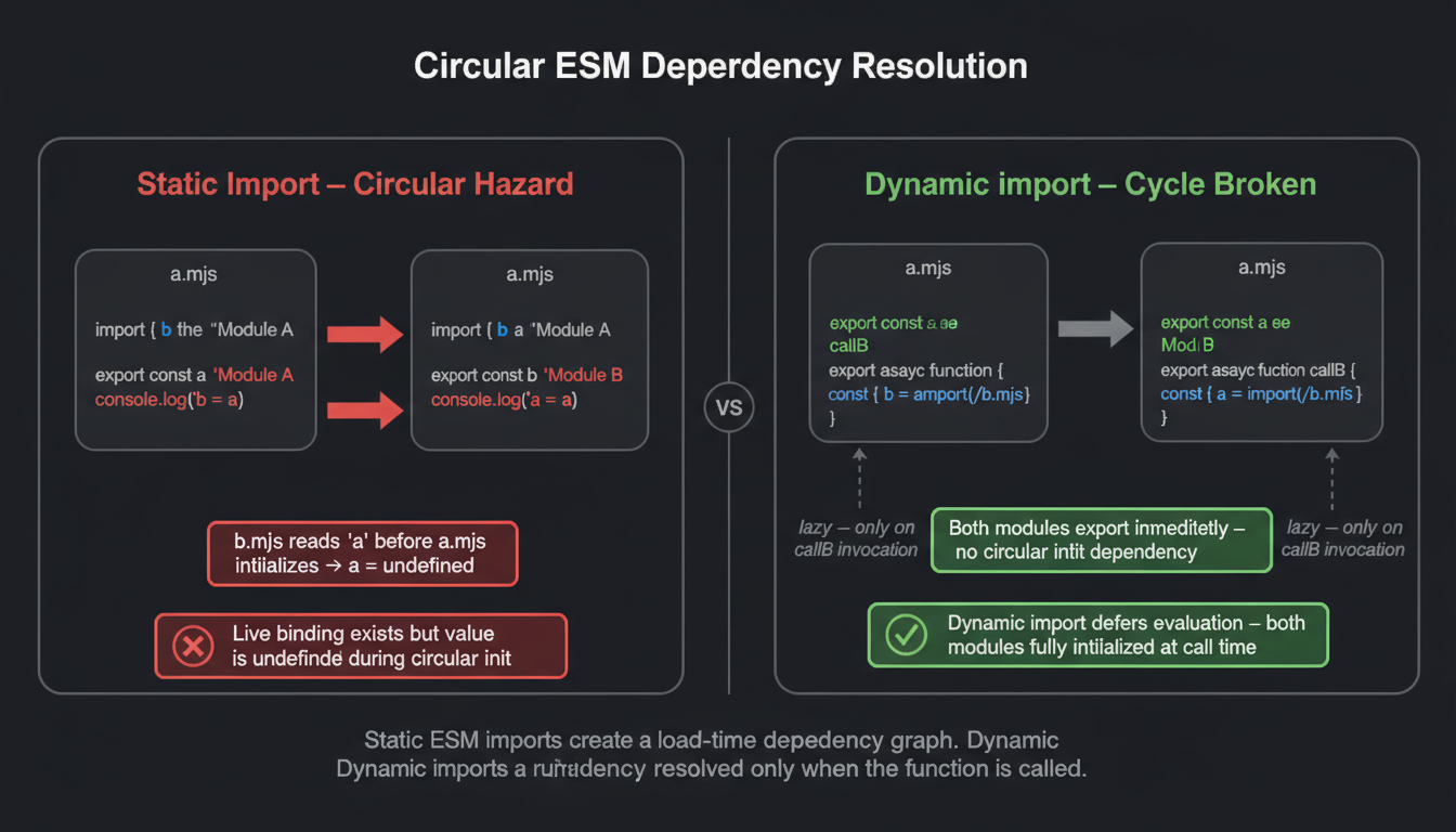 Before/After split diagram on circular ESM dependency resolution. Left panel labeled 'Static import — Circular binding hazard' with red border. Two file boxes 'a.mjs' and 'b.mjs' each with arrows pointing at each other labeled 'import'. Between them: a timeline showing evaluation order with a highlighted red zone labeled 'b.mjs reads a before a is initialized → undefined'. Code snippet in left panel: 'import { a } from ./a.mjs' with a red label underneath: 'Live binding exists, value = undefined at read time'. Right panel labeled 'Dynamic import() — Cycle broken' with green border. Same two file boxes, but arrows are now curved dotted arrows inside function bodies labeled 'async function callB() { await import(./b.mjs) }'. A green annotation: 'import() is deferred until the function is called — both modules fully initialized by then'. Footer: 'Dynamic import() evaluates the module on first call, not on module load — breaking circular initialization order dependencies'.